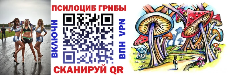 Псилоцибиновые грибы ЛСД  Судак 